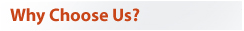 Why Choose Us